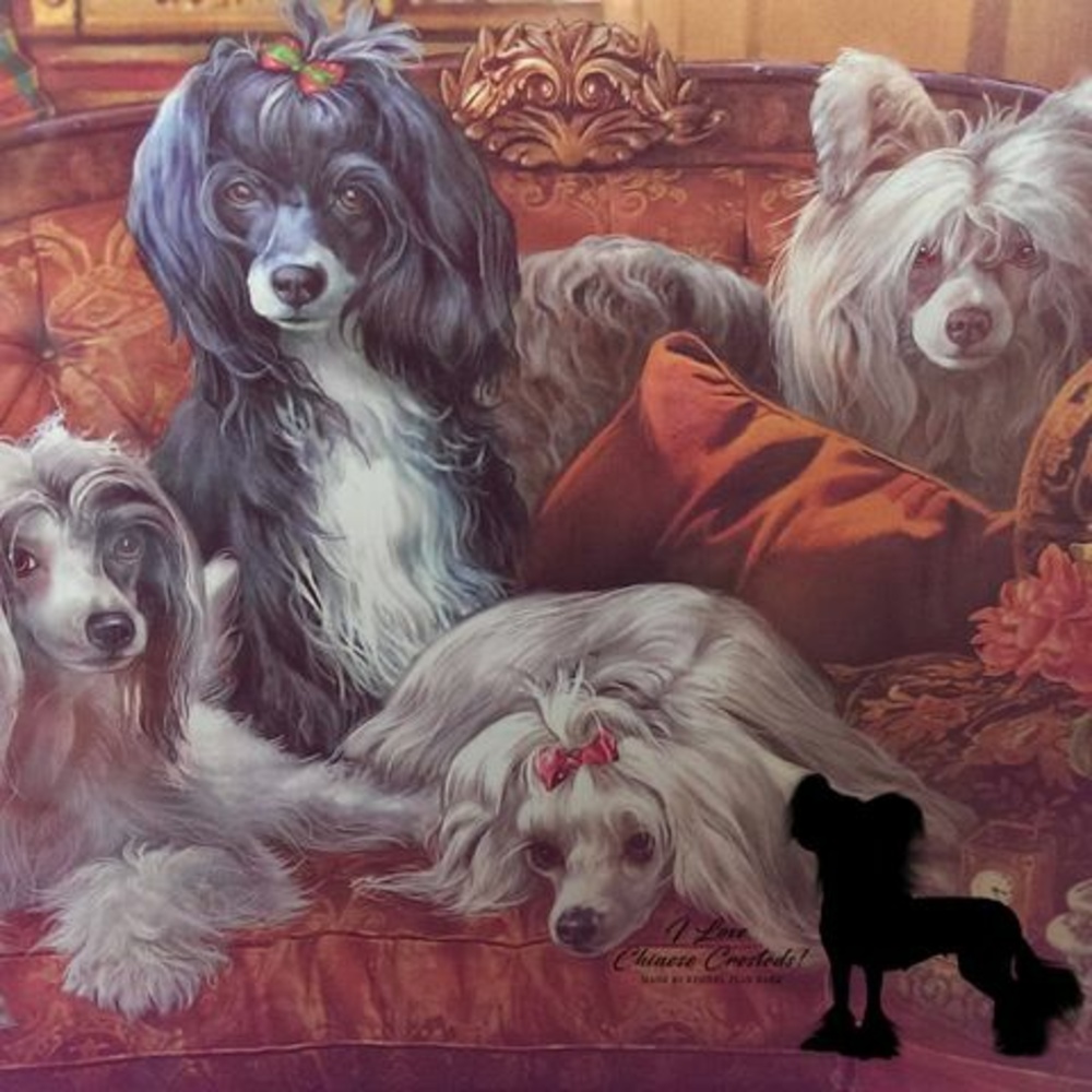 Meet your Posher, Gail